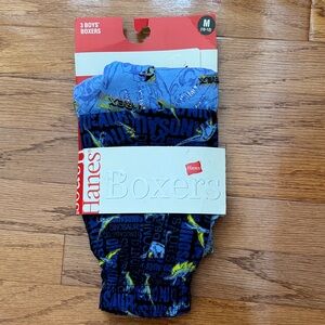 Hanes Boys' Dinosaur Print Boxers - Blue and Black